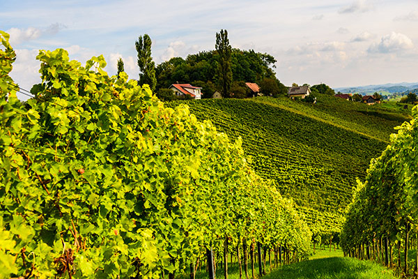 Imagefoto Urlaubsreferat, Kriegsopfer und Behindertenverband Steiermark